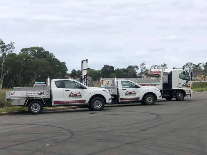 Excavator working on a Sydney site